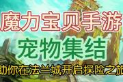魔力宝贝私服最强宠物搭配分享 打造强力战斗伙伴